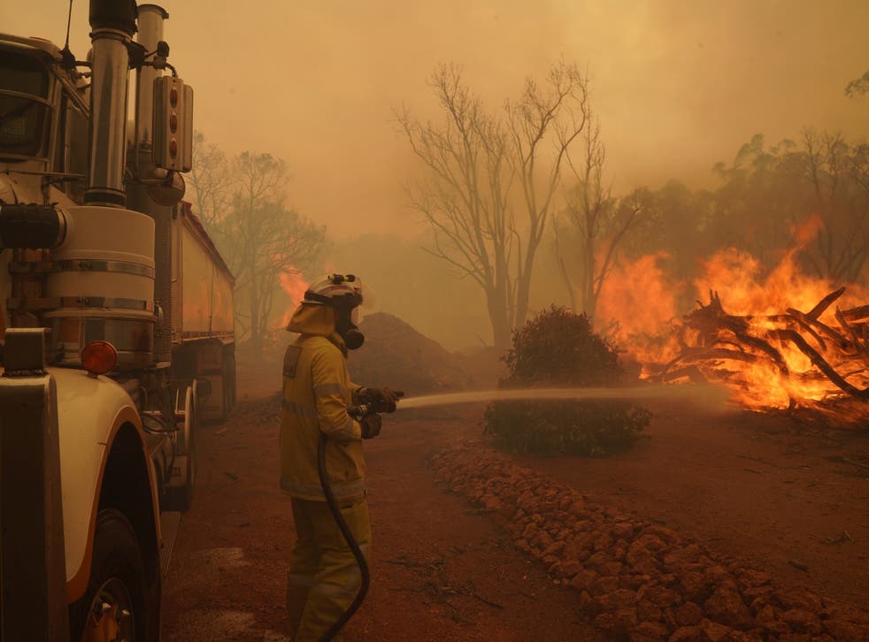 <p>A Department of Fire and Emergency Services fire fighter battles a bushfire in Brigadoon, Perth</p>