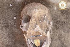 Mummies with golden tongues that ‘speak to the dead’ unearthed in Egypt