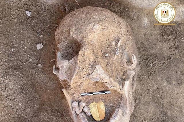 <p>Mummies were discovered at Alexandria's Taposiris Magna temple</p>