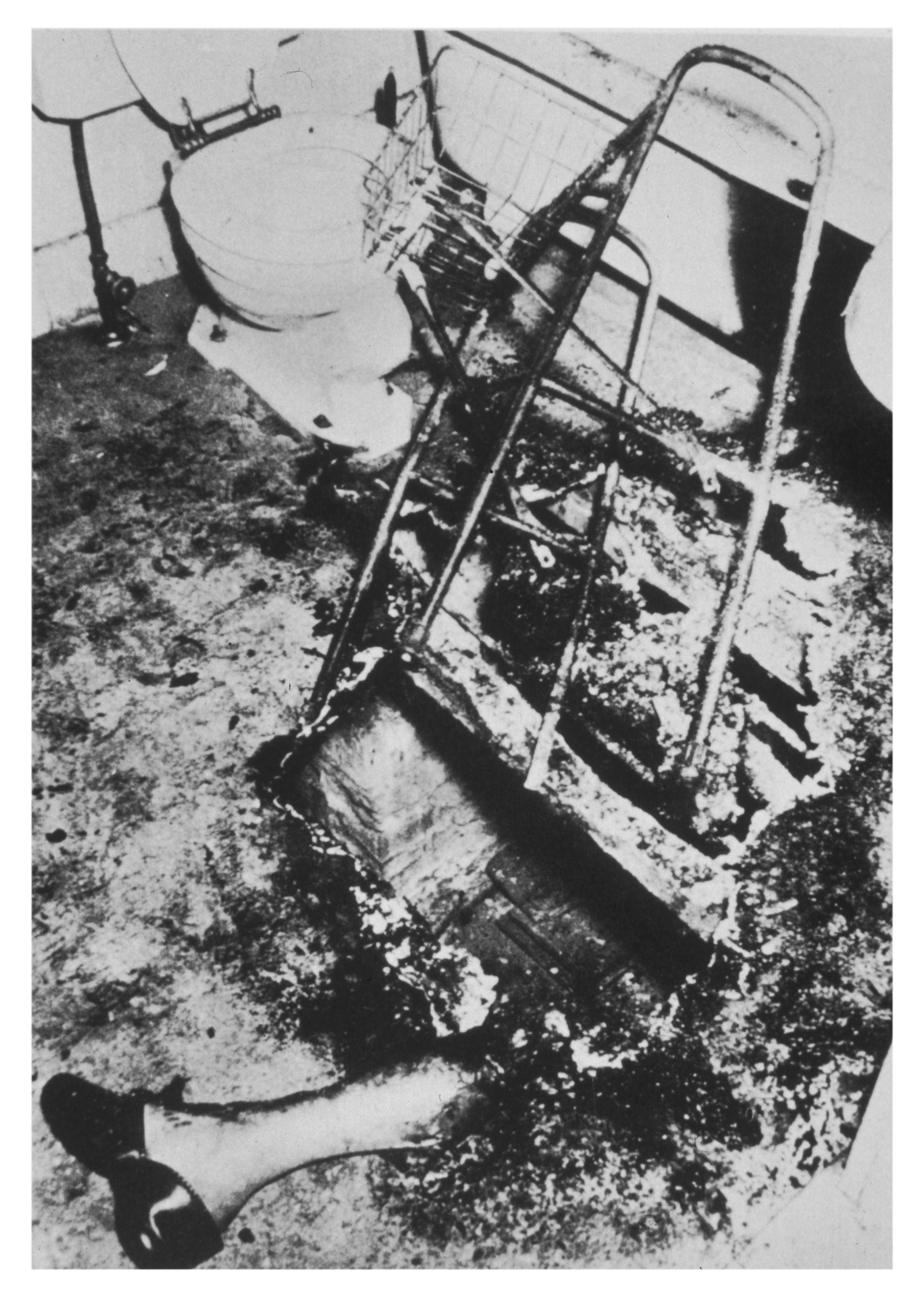 An image of what was left of Reeser’s body