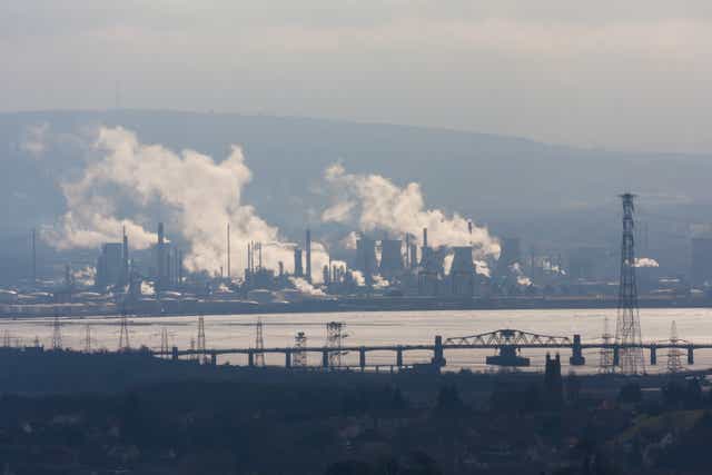 Plumes of smoke rise over the Firth of Forth in Scotland. Air pollution may damage almost every cell in the human body