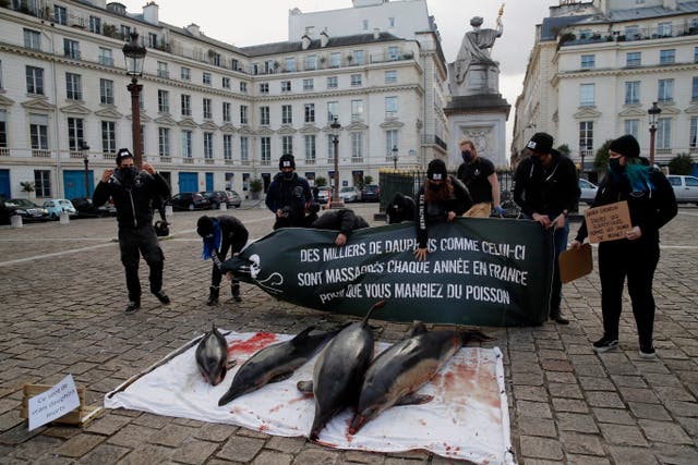France Dolphin Protest