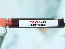 Coronavirus antibodies last ‘at least six months for most people’