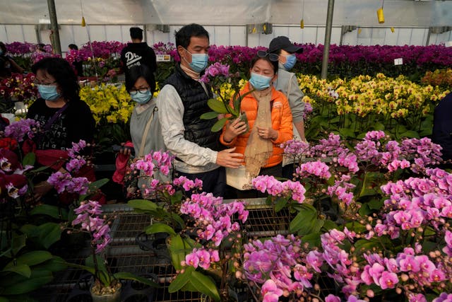Virus Outbreak Hong Kong Flower Farms