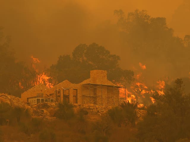 <p>El incendio, que es el más grande que ha visto la ciudad de Australia Occidental en años, ya ha arrasado más de 9.000 hectáreas, devastando 71 hogares y contando</p>