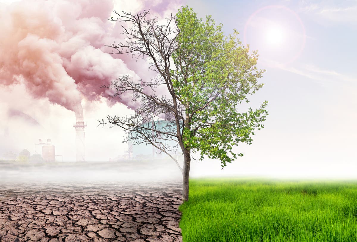The key to tackling the climate crisis is putting oceans and forests at the forefront of economic policy The key to tackling the climate crisis is putting oceans and forests at the forefront of economic policy
