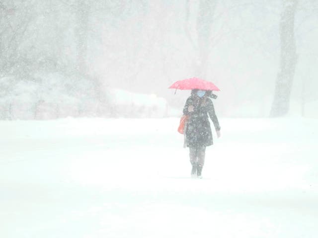 <p>Una mujer camina por Central Park durante una tormenta de invierno el 1 de febrero de 2021 en la ciudad de Nueva York</p>