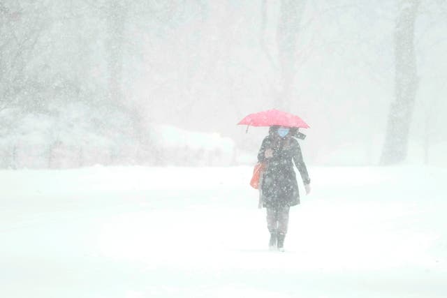 <p>Una mujer camina por Central Park durante una tormenta de invierno el 1 de febrero de 2021 en la ciudad de Nueva York</p>