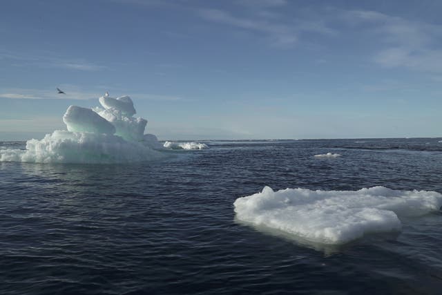 Floating ice in the Arctic Ocean in September 2020