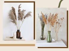 Pampas grass is the decor trend sweeping the internet, and these are the best places to buy it online