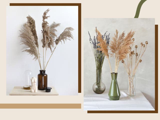 Where to buy dried pampas grass online | The Independent