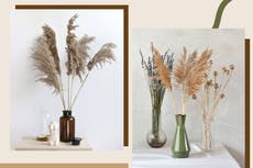 Pampas grass is the decor trend sweeping the internet, and these are the best places to buy it online