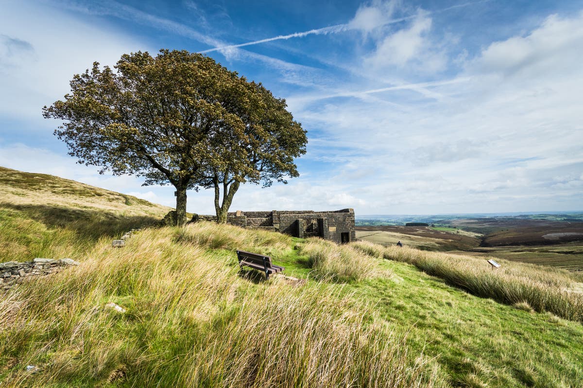 Bronte fans furious over plan to build council estate on moors that inspired Wuthering Heights
