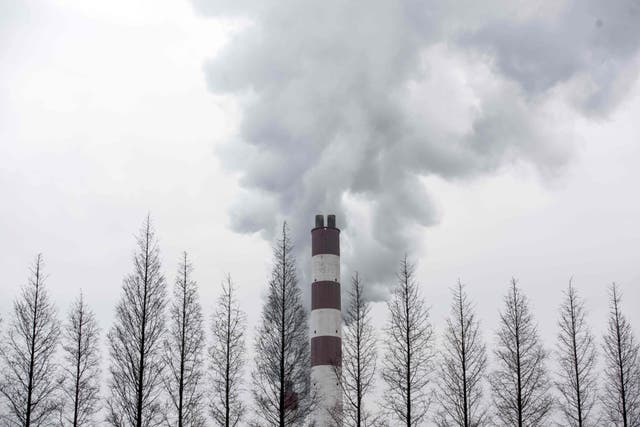 <p>File: Smoke billowing from a chimney of the Shanghai Waigaoqiao Power Generator Company coal power plant in Shanghai</p>