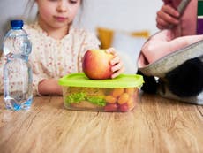 Labour calls on government to extend free school meal scheme into half-term
