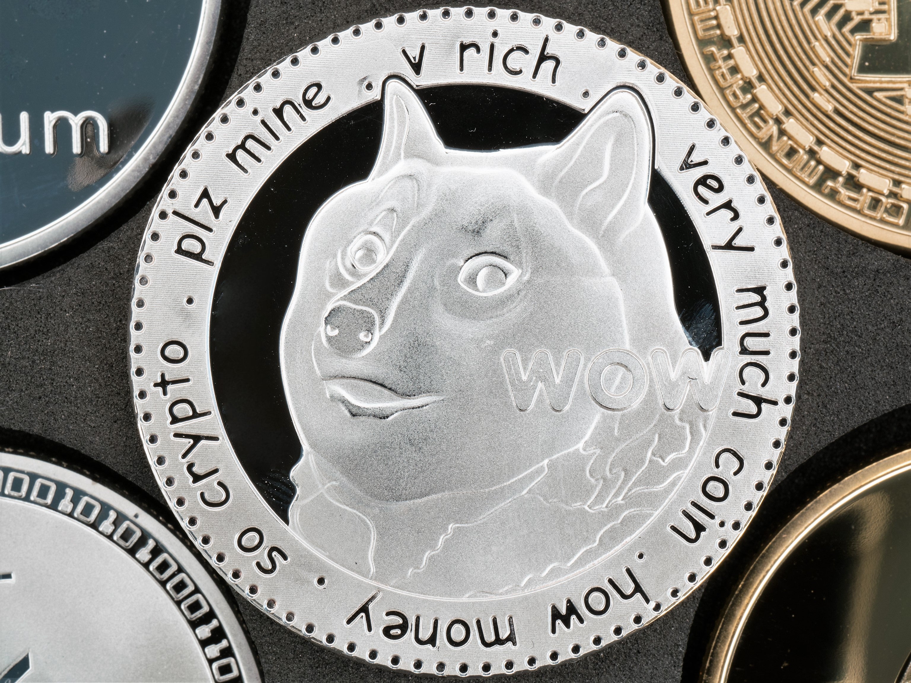 Dogecoin has risen in price by more than 50,000 per cent since 2014
