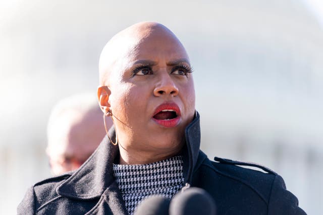 <p>File image: Ayanna Pressley and Cory Booker believe the baby bond bill would help close the racial wealth gap    </p>