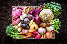 Going vegan is crucial to help halt the climate crisis and could prevent future pandemics, says report