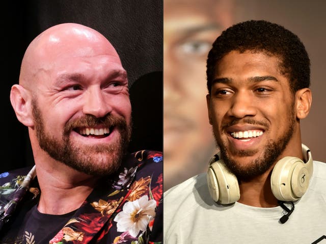 Tyson Fury (left) and Anthony Joshua are expected to unify their heavyweight titles this year