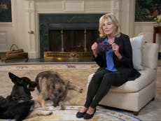 Major and Champ Biden to appear alongside Jill Biden in mask PSA during Puppy Bowl