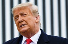 Trump has walked into ‘jiu jitsu’ trap by refusing to testify at impeachment trial, legal analyst says
