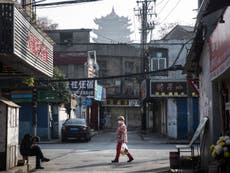 ‘Extremely unlikely’ that Covid spread from Wuhan lab leak, says WHO