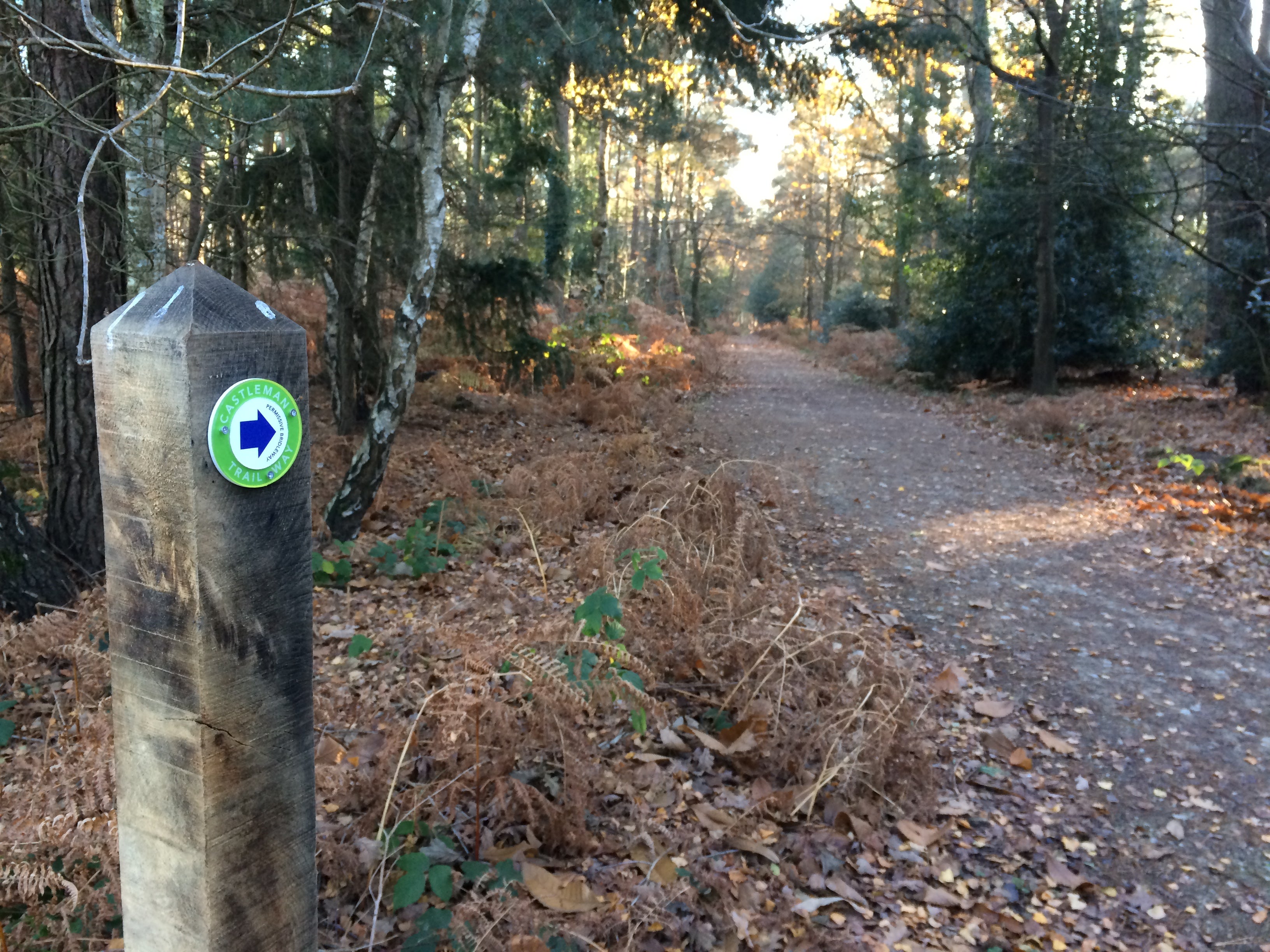 Following the waymarks along the trail