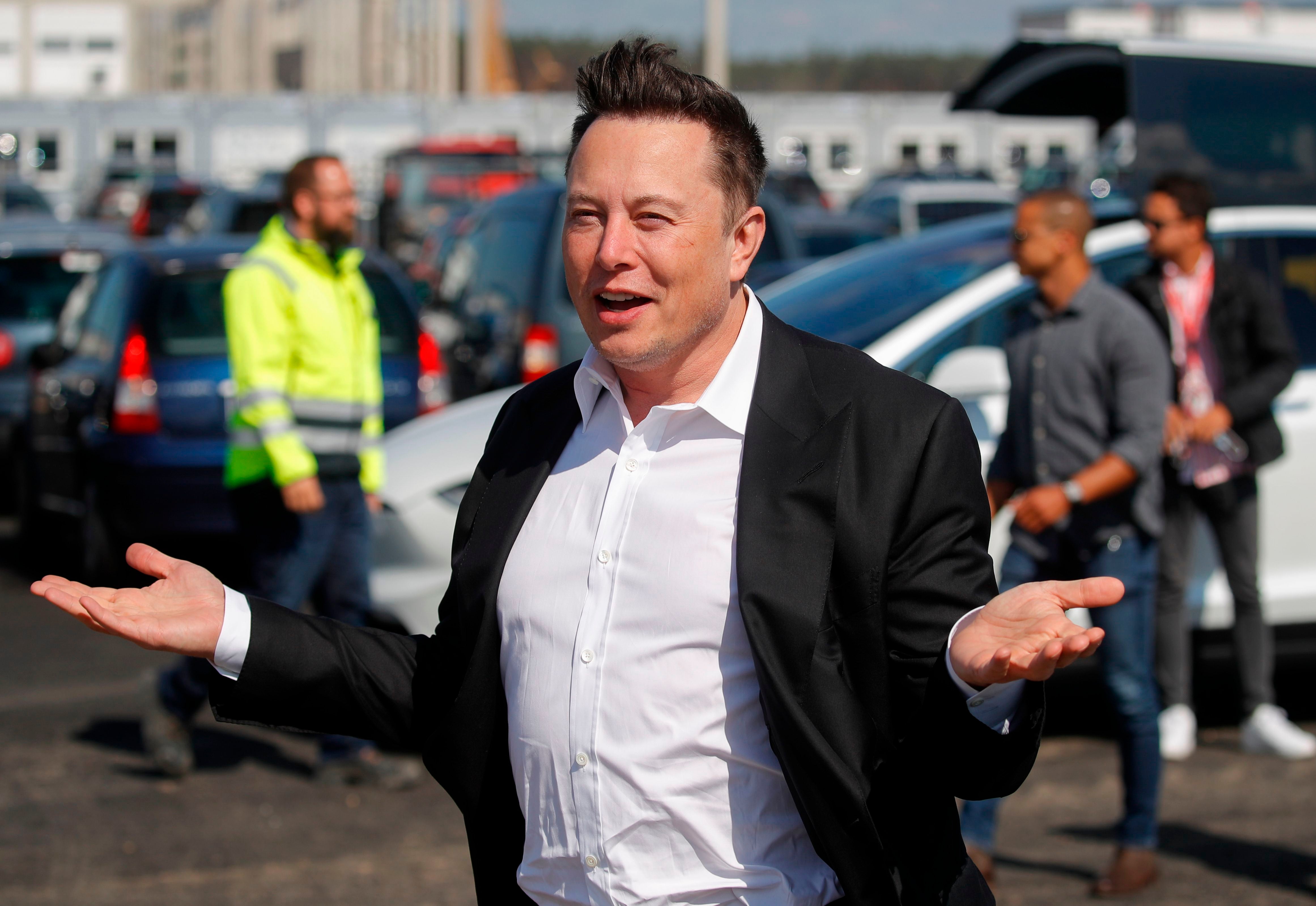 Musk might simply be amusing himself, by inflating a bubble – doing it because he can