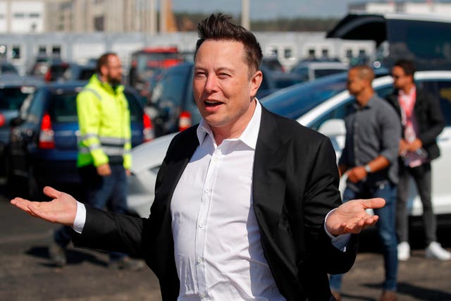 <p>Musk might simply be amusing himself, by inflating a bubble – doing it because he can</p>