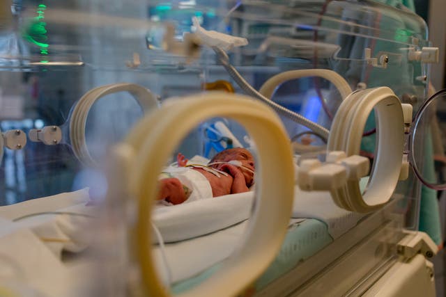 <p>A newborn baby in an incubator at hospital</p>