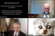 Lawyer’s Zoom settings stuck on kitten filter during awkward court appearance