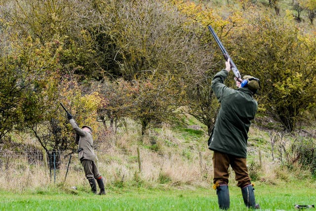 Snares are set as part of practices to allow pheasant- and partridge-shooting 
