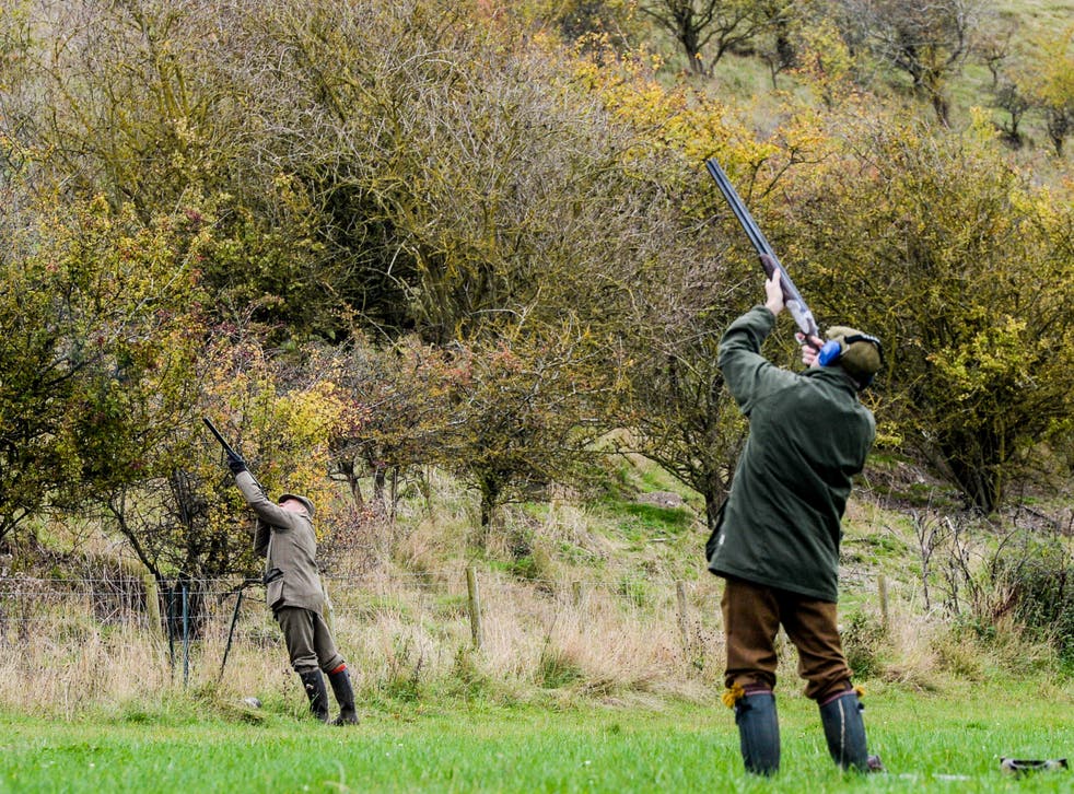 Snares are set as part of practices to allow pheasant- and partridge-shooting 