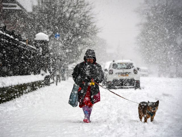 <p>A woman walks a dog through the snow in Glasgow</p>