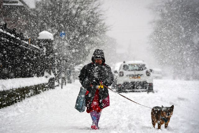 <p>A woman walks a dog through the snow in Glasgow</p>