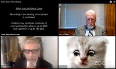 ‘I am not a cat’: The unusual history of lawyer’s kitten Zoom filter – and the reason it was so difficult to turn off