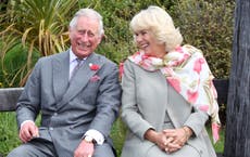 Prince Charles and Camilla have had first Covid vaccine dose, Clarence House says