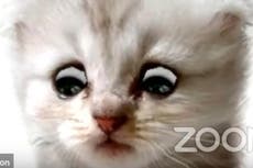 Texas cat lawyer: ‘In hindsight, it’s provided a laugh for the country’