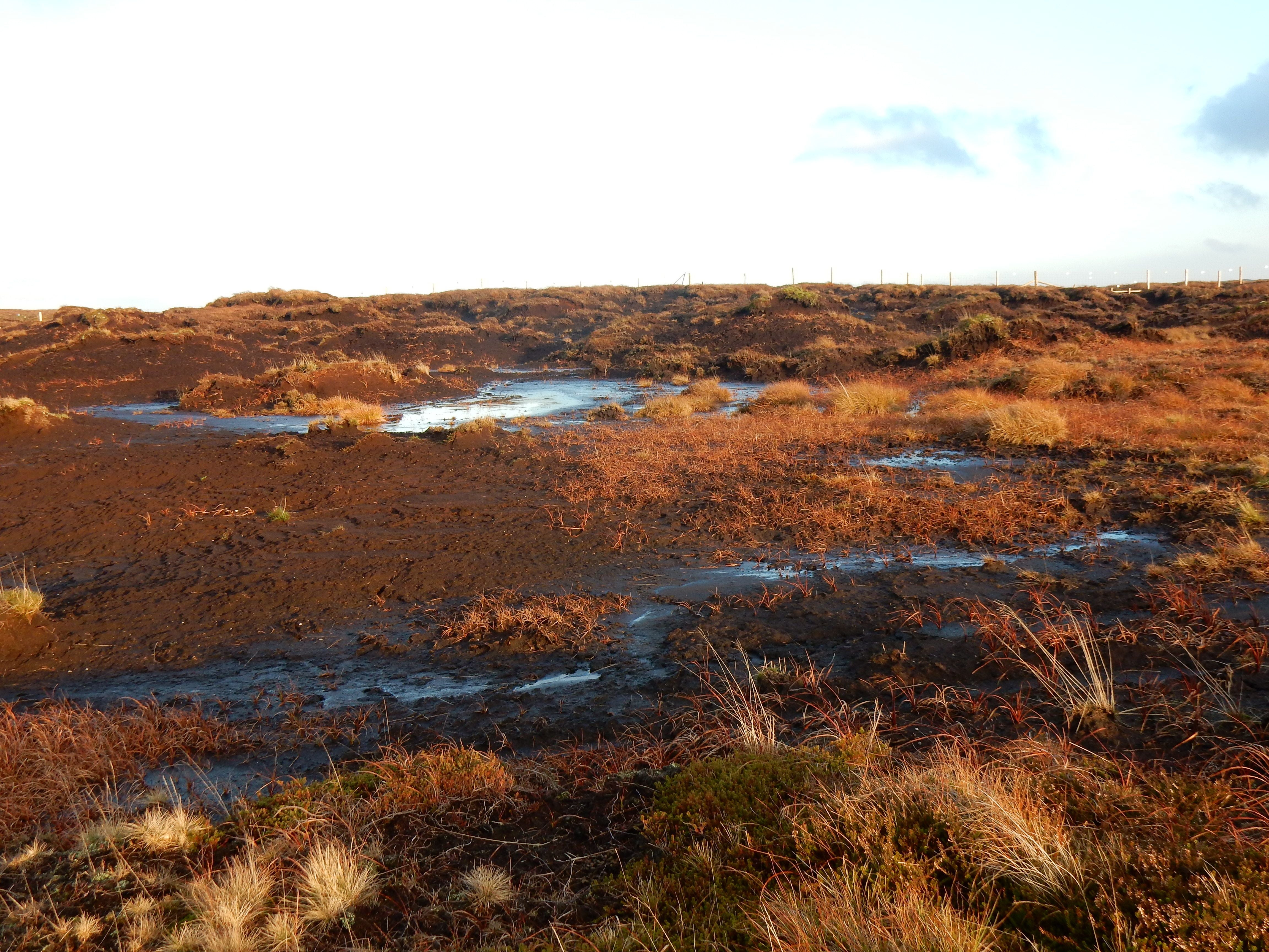 A degraded peatland in Yorkshire