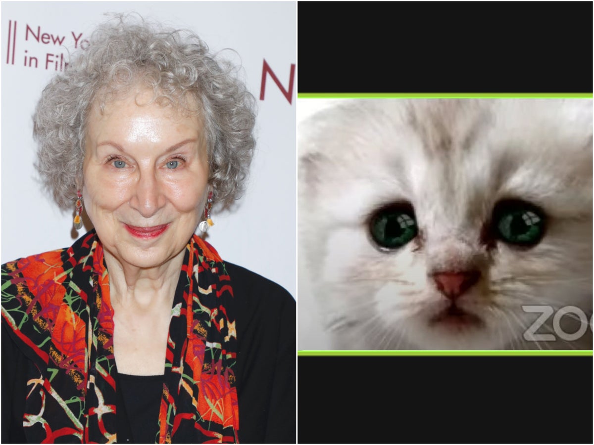 Margaret Atwood Has Brilliant Response To Cat Lawyer Video I Can T Get This Human Filter Off The Independent