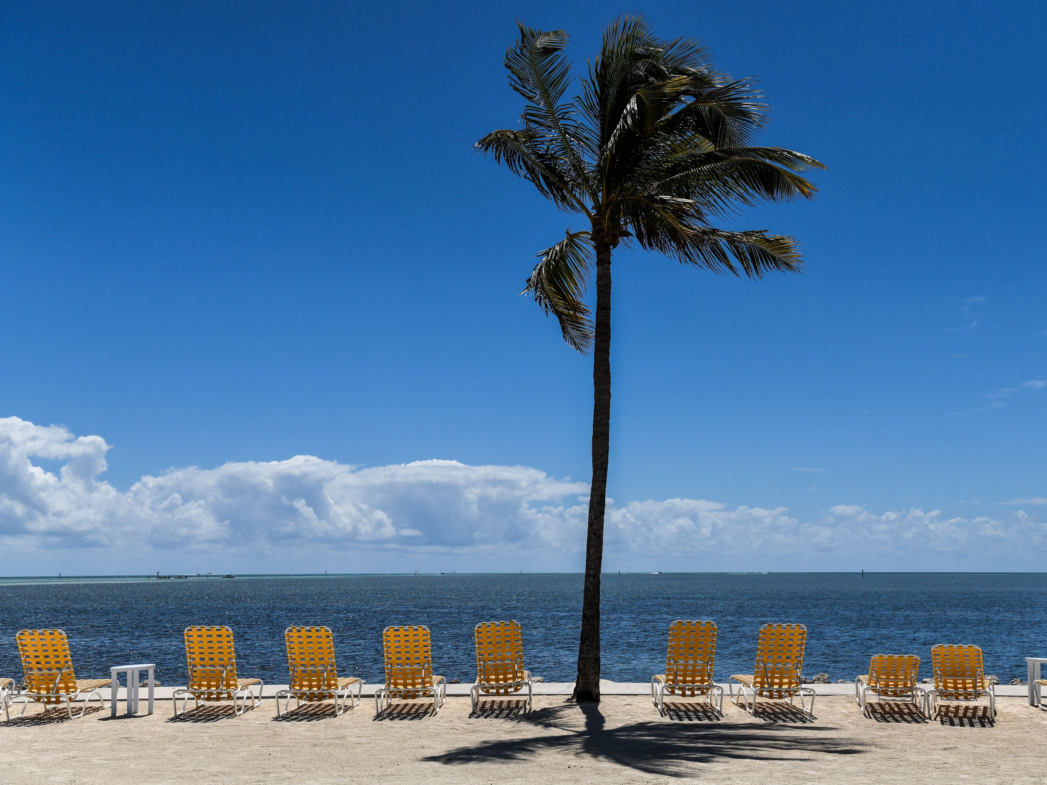 Empty lounge chairs are seen on a deserted beach at a resort in Florida in March 2020. UK ministers are reluctant to offer hopes of summer getaways following a series of failed predictions