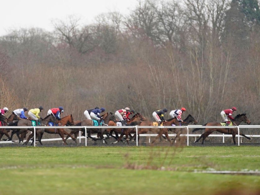 A general view as runners race down the back straight at Kempton