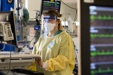 Nearly a third of all hospitalised patients during pandemic admitted in January