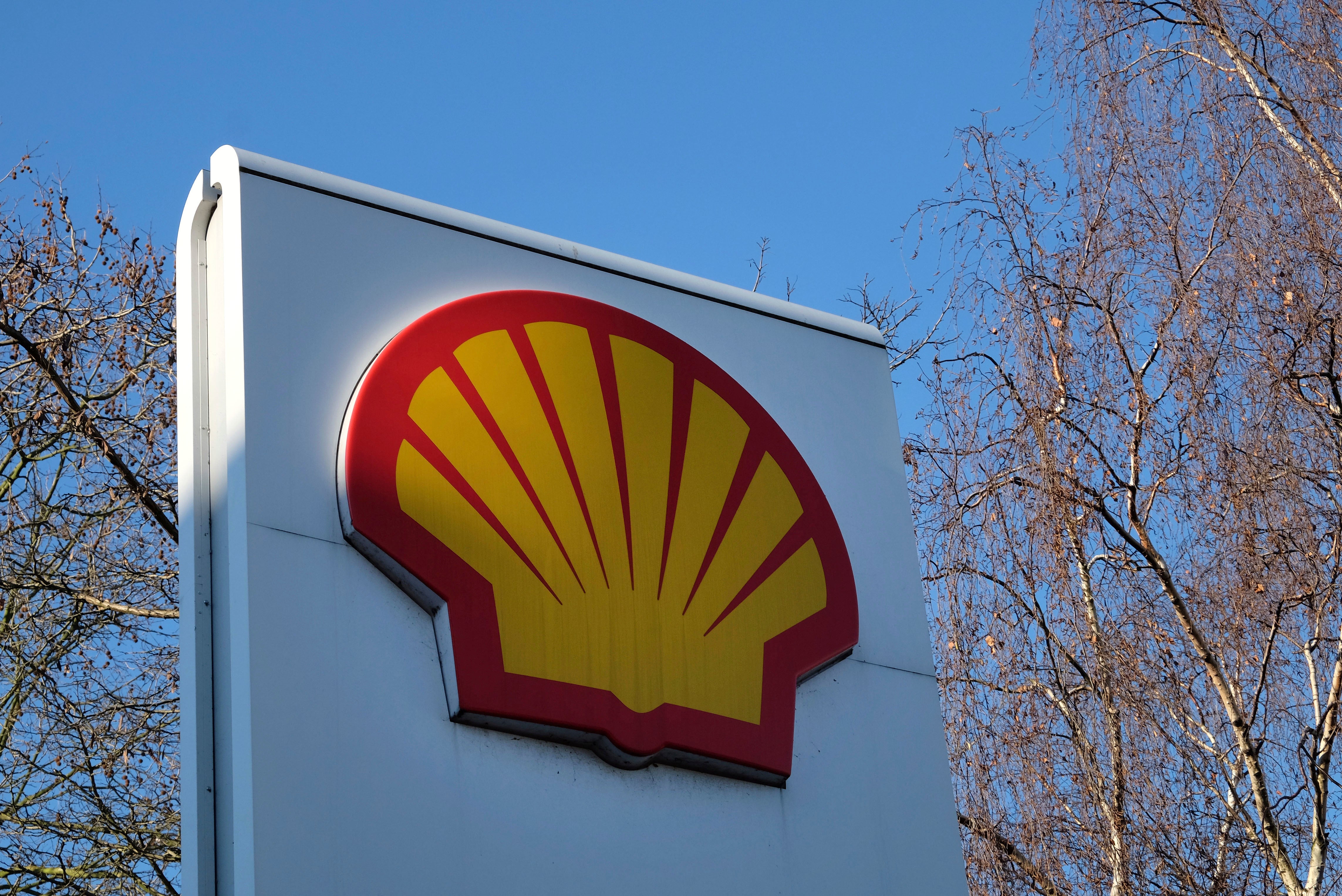 The green oil company? Shell has doubters