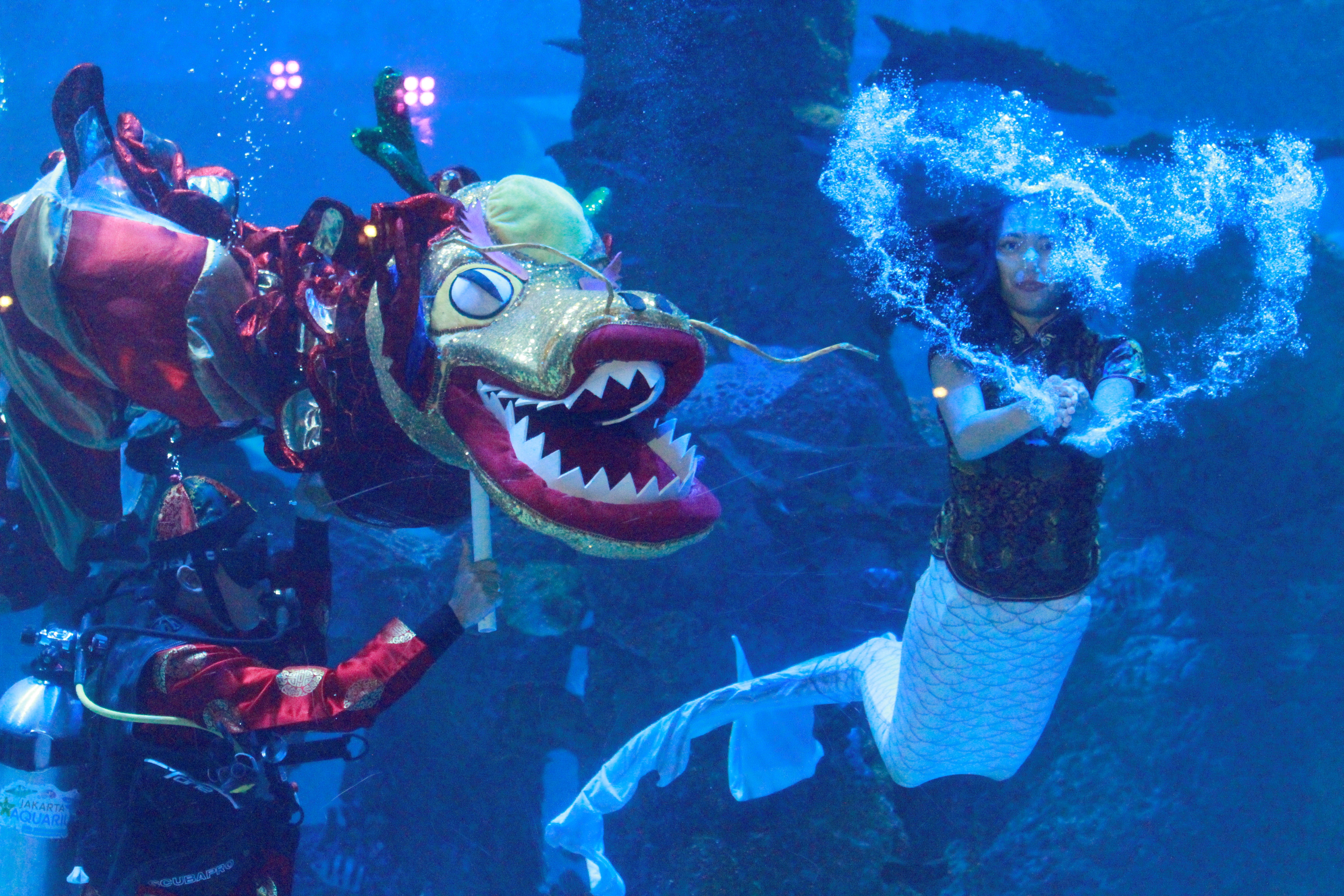 Elaborate new year celebrations are missing this year in China