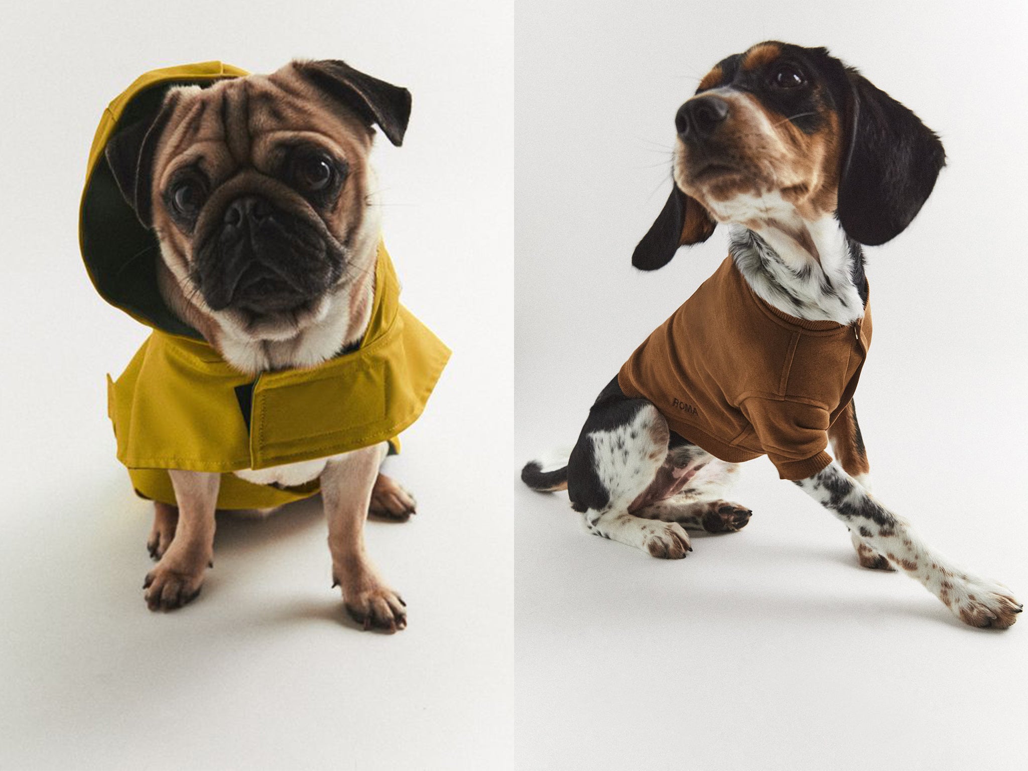 From cosy hoodies to waterproofs, the retailer’s new range has got your pooch covered