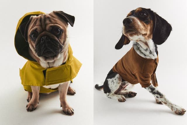 <p>From cosy hoodies to waterproofs, the retailer’s new range has got your pooch covered</p>