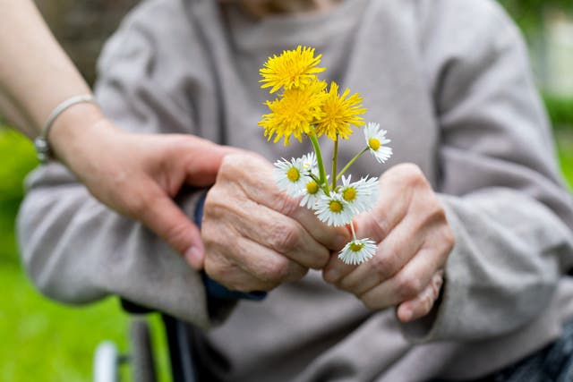 <p>People with dementia ‘worst hit’ by pandemic, says Alzheimer’s Society</p>