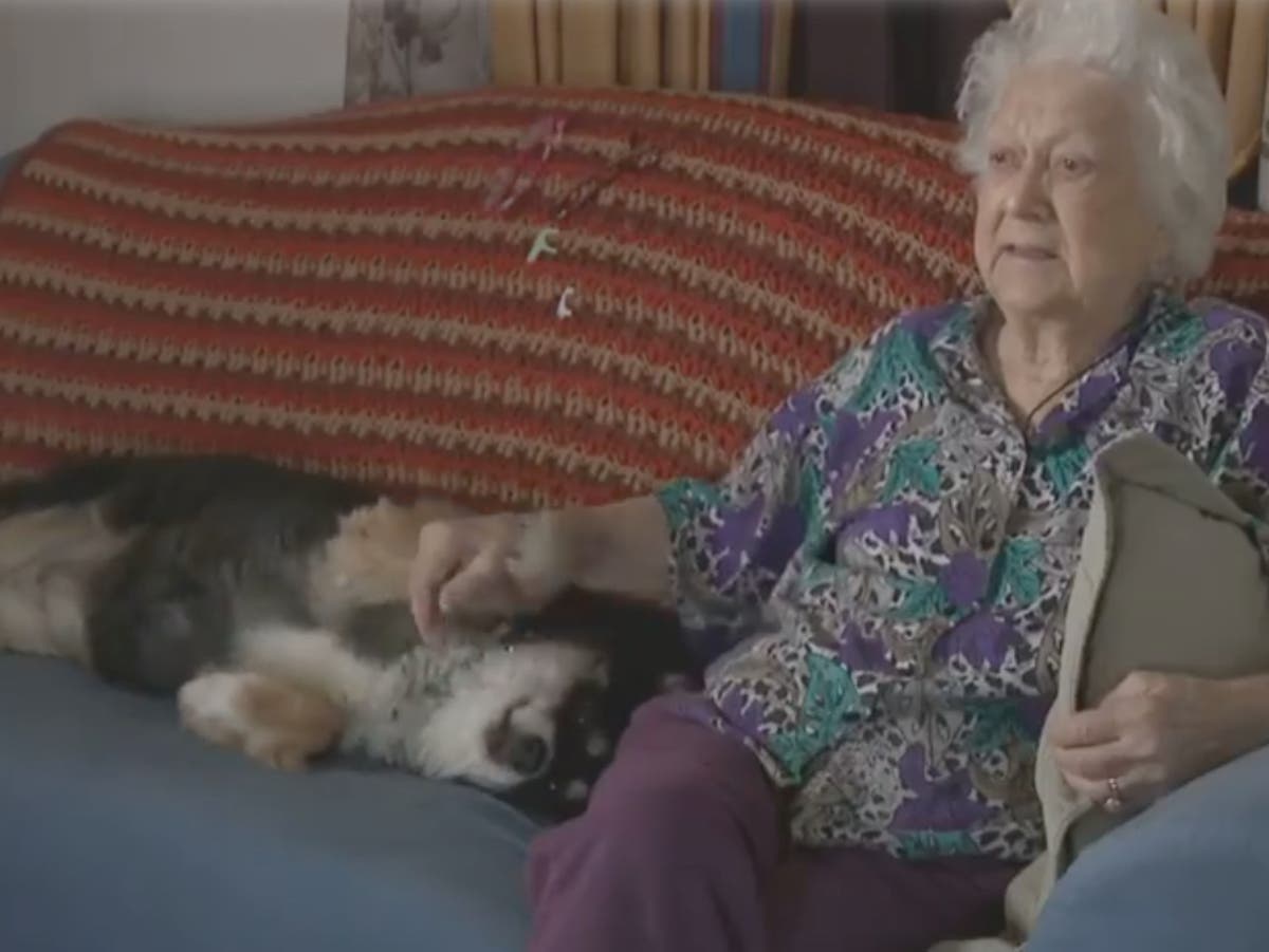 Eight-year-old border collie inherits $5m in owner&rsquo;s will