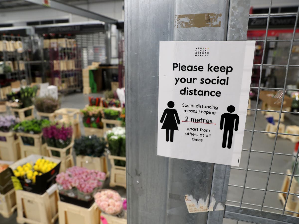 UK risks &lsquo;another large wave&rsquo; of Covid if restrictions lifted too early, scientist warns